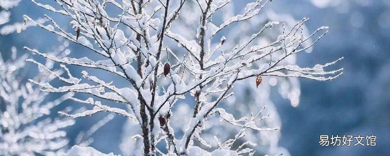 北方下雪要打伞吗