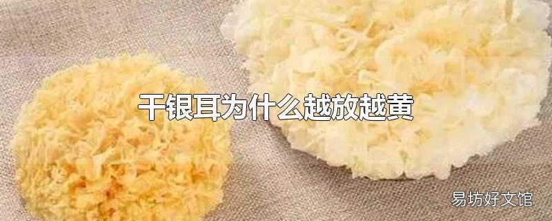 干银耳为什么越放越黄