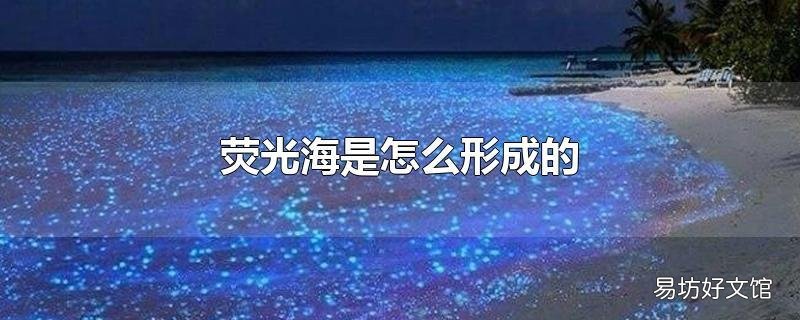 荧光海是怎么形成的