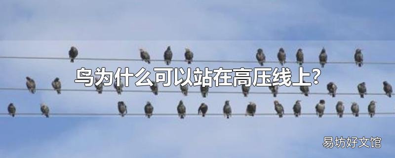 鸟为什么可以站在高压线上?