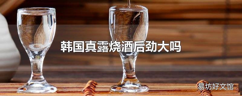 韩国真露烧酒后劲大吗