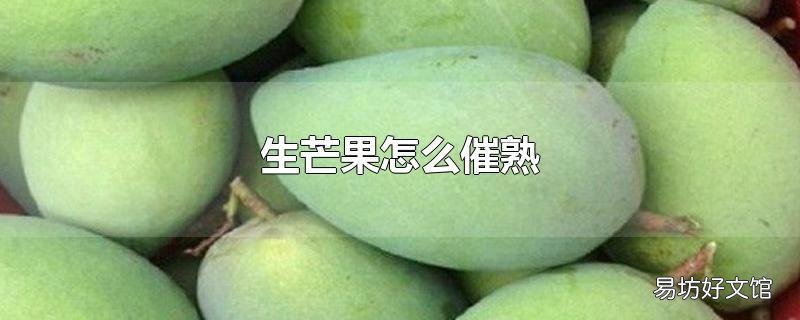 生芒果怎么催熟