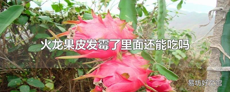 火龙果皮发霉了里面还能吃吗