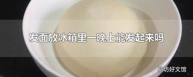 发面放冰箱里一晚上能发起来吗