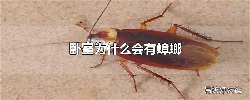 卧室为什么会有蟑螂