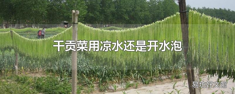 干贡菜用凉水还是开水泡