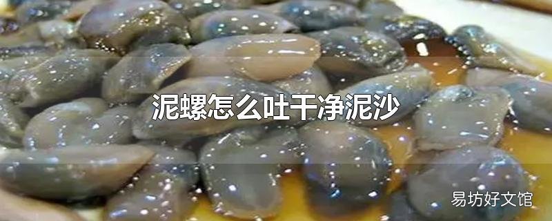 泥螺怎么吐干净泥沙