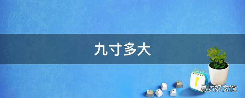 九寸多大