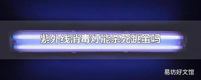 紫外线消毒灯能杀死跳蚤吗