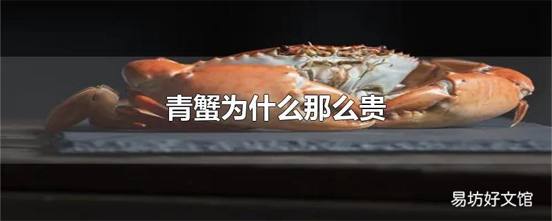 青蟹为什么那么贵
