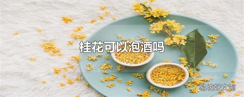 桂花可以泡酒吗