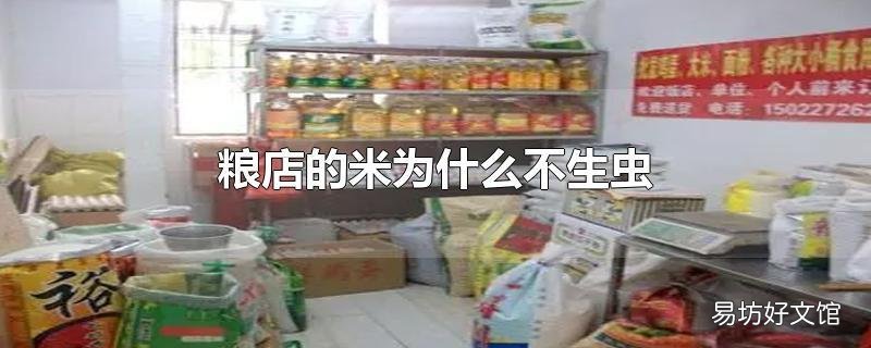 粮店的米为什么不生虫