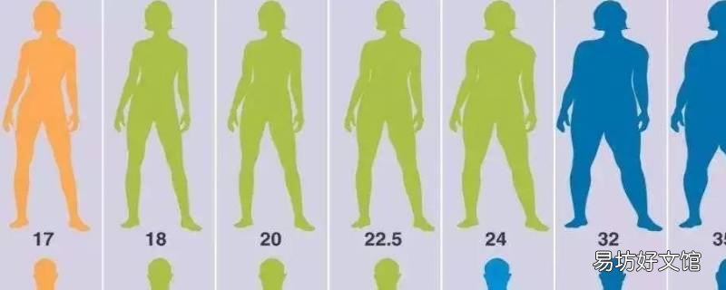 bmi20是什么水准