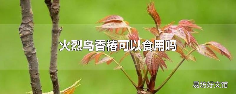 火烈鸟香椿可以食用吗