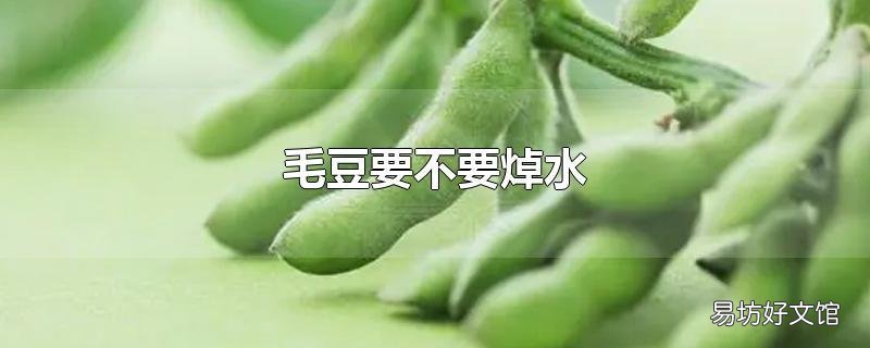 毛豆要不要焯水