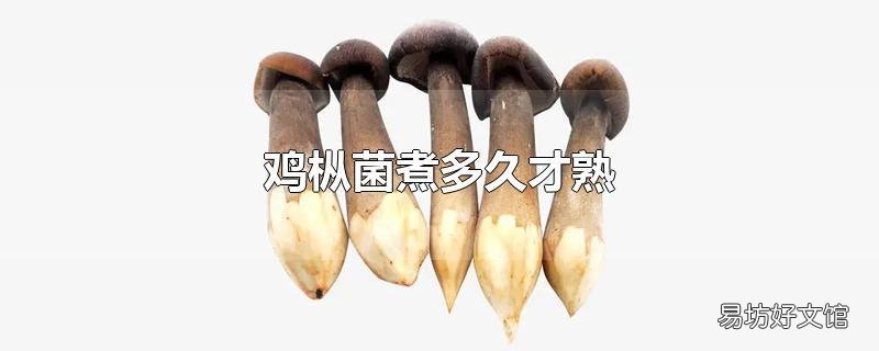 鸡枞菌煮多久才熟