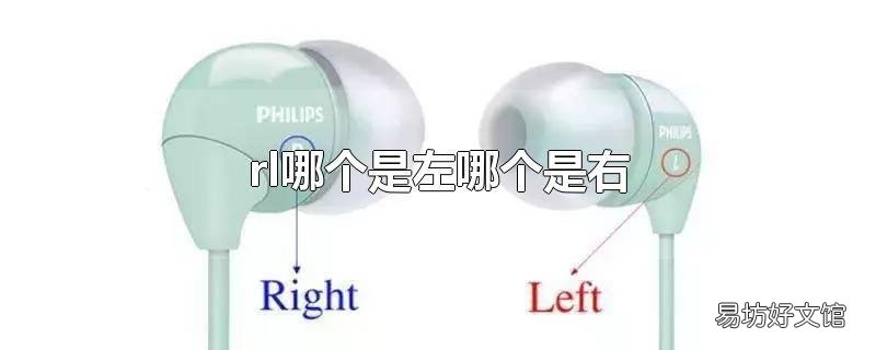 rl哪个是左哪个是右