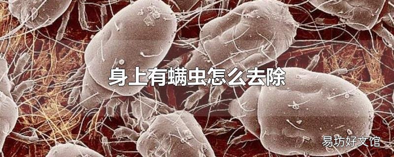 身上有螨虫怎么去除