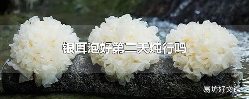 银耳泡好第二天炖行吗