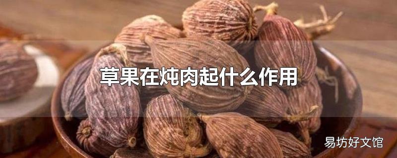 草果在炖肉起什么作用