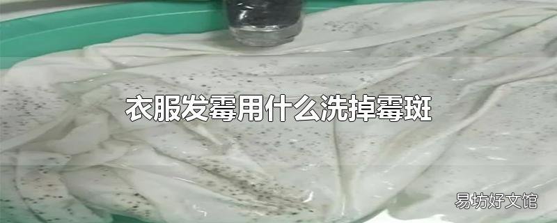 衣服发霉用什么洗掉霉斑
