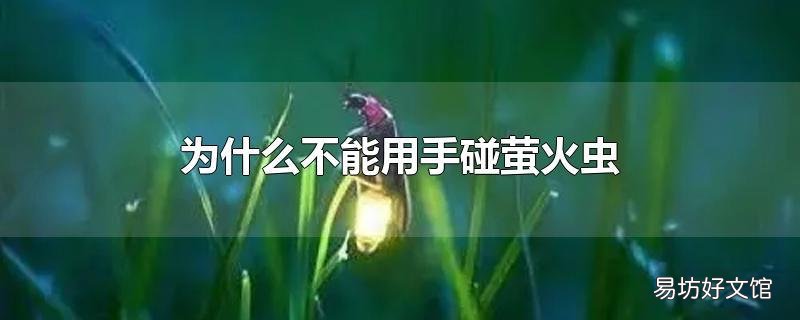 为什么不能用手碰萤火虫