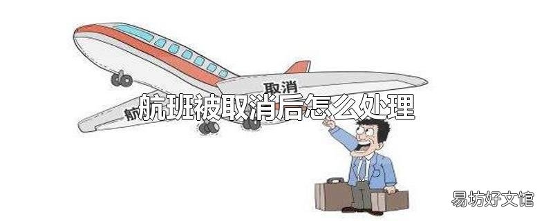 航班被取消后怎么处理