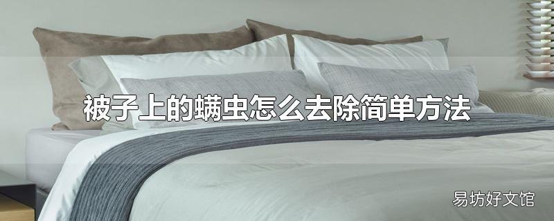 被子上的螨虫怎么去除简单方法