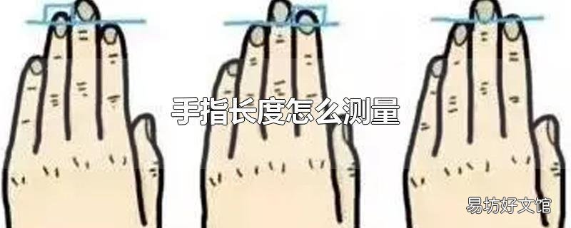 手指长度怎么测量