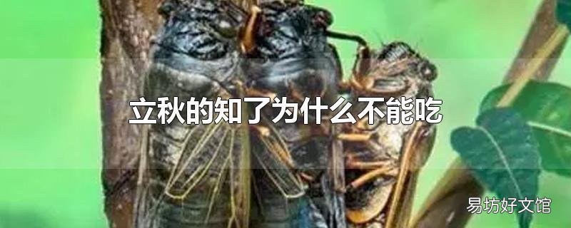 立秋的知了为什么不能吃