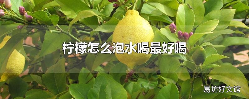 柠檬怎么泡水喝最好喝