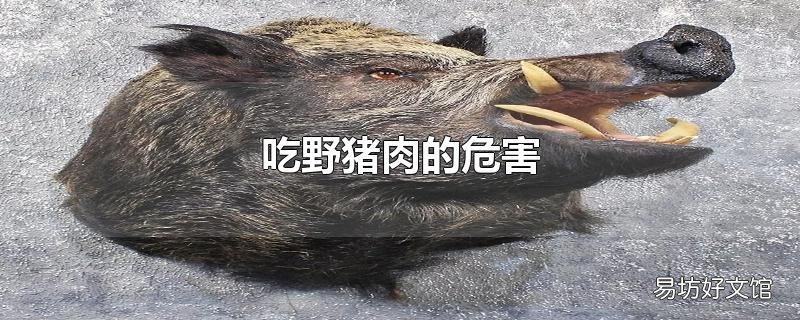 吃野猪肉的危害
