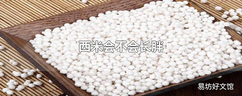 西米会不会长胖