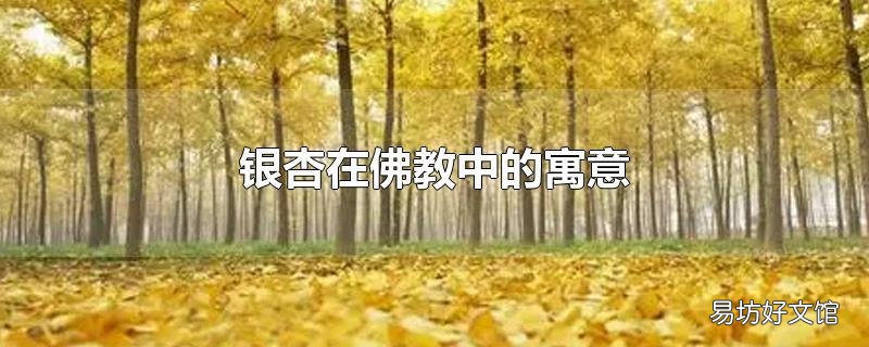 银杏在佛教中的寓意
