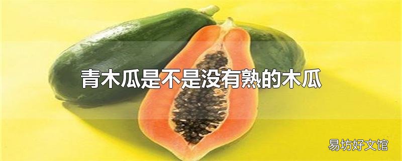 青木瓜是不是没有熟的木瓜