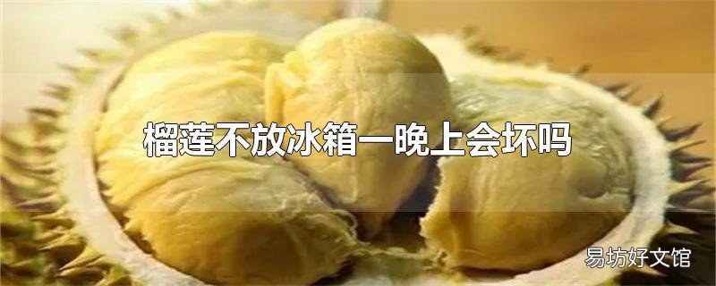 榴莲不放冰箱一晚上会坏吗