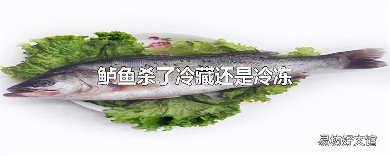 鲈鱼杀了冷藏还是冷冻