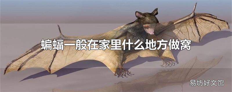 蝙蝠一般在家里什么地方做窝