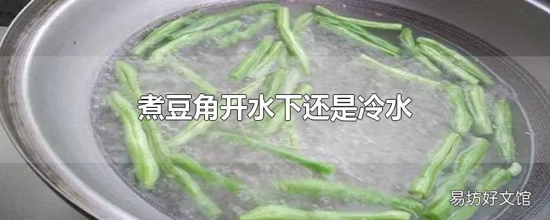 煮豆角开水下还是冷水