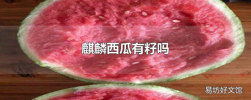 麒麟西瓜有籽吗