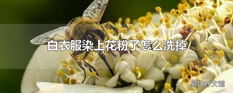 白衣服染上花粉了怎么洗掉