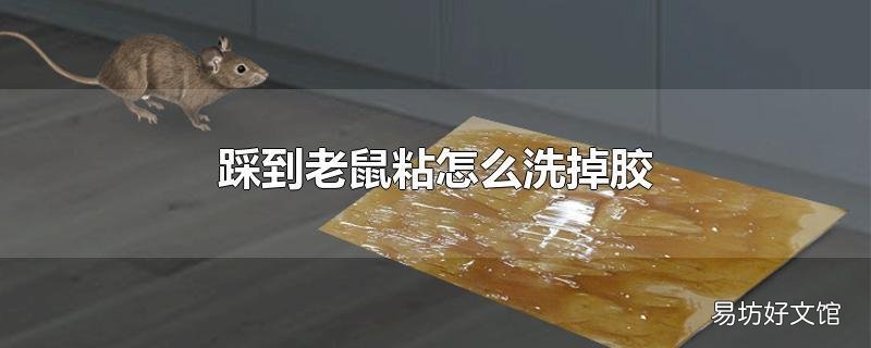 踩到老鼠粘怎么洗掉胶