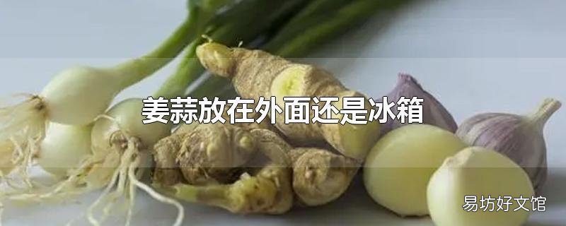 姜蒜放在外面还是冰箱