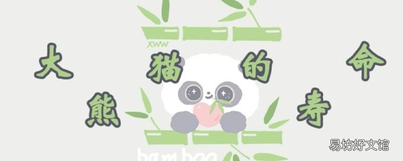大熊猫的寿命