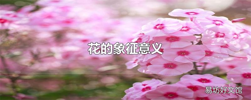 花的象征意义