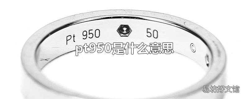 pt950是什么意思