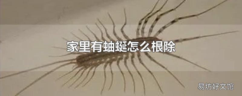 家里有蚰蜒怎么根除