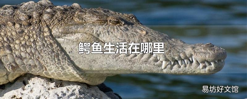 鳄鱼生活在哪里