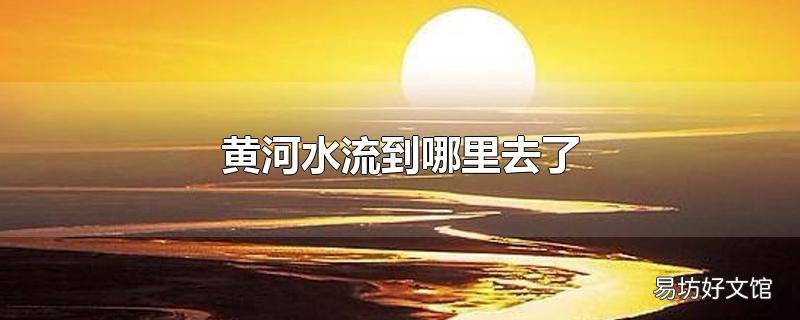 黄河水流到哪里去了