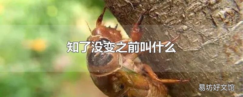 知了没变之前叫什么